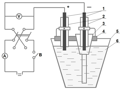 . III.19